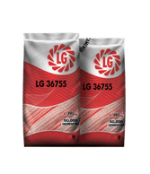 lg-36755